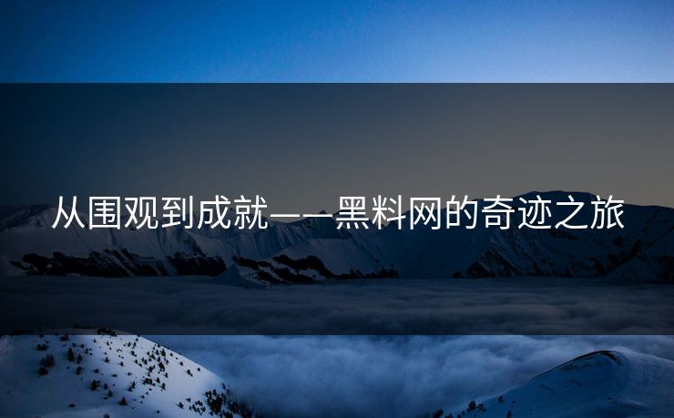 从围观到成就——黑料网的奇迹之旅