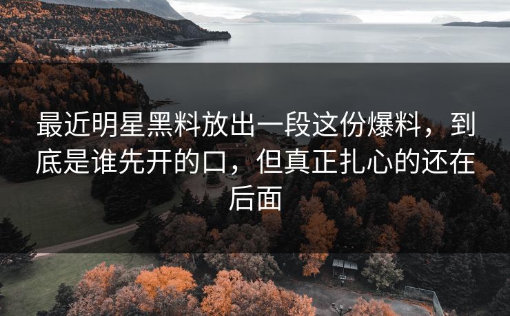 最近明星黑料放出一段这份爆料，到底是谁先开的口，但真正扎心的还在后面