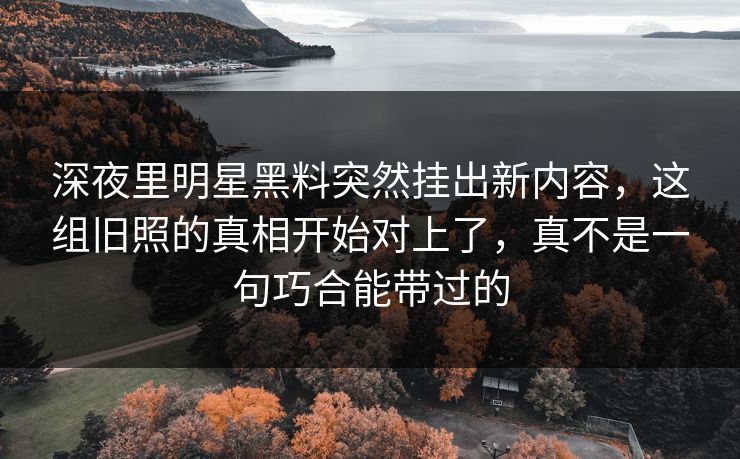 深夜里明星黑料突然挂出新内容,这组旧照的真相开始对上了,真不是一句巧合能带过的